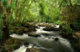 Montes de galicia 2